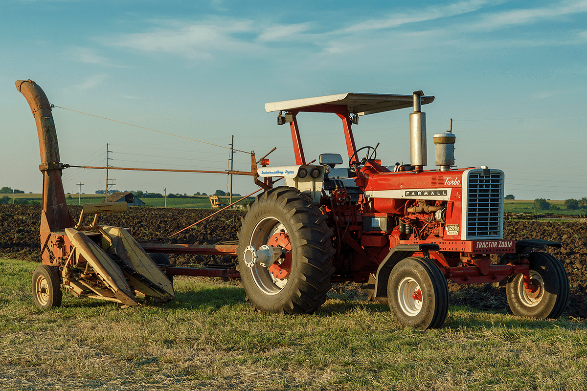 Farmall 1206 in a field at sunset - usually NOT cheap horsepower!