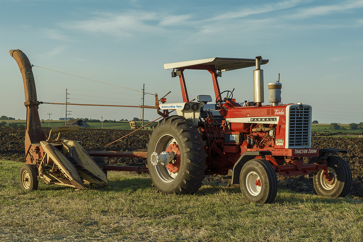 Farmall 1206 in a field at sunset - usually NOT cheap horsepower!