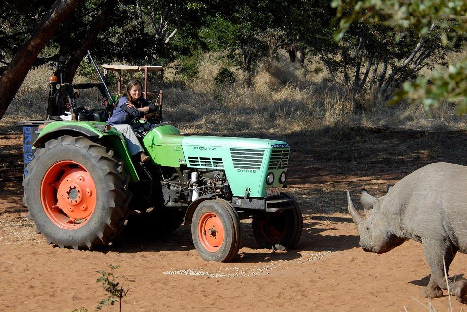 deutz d6806 and a rhino