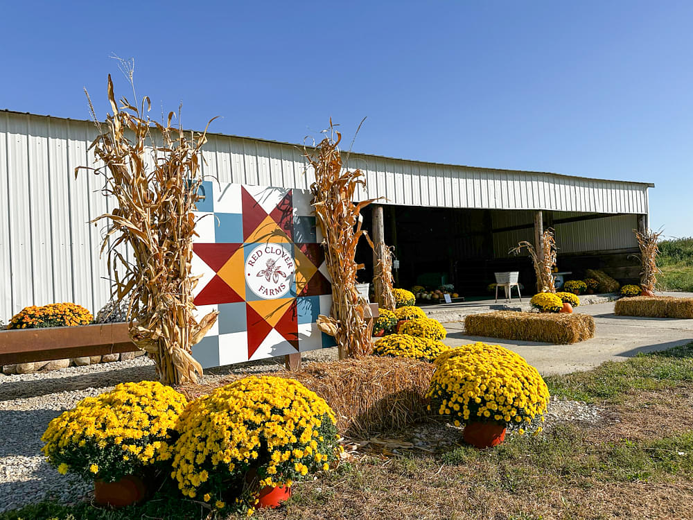 Red Clover Farms