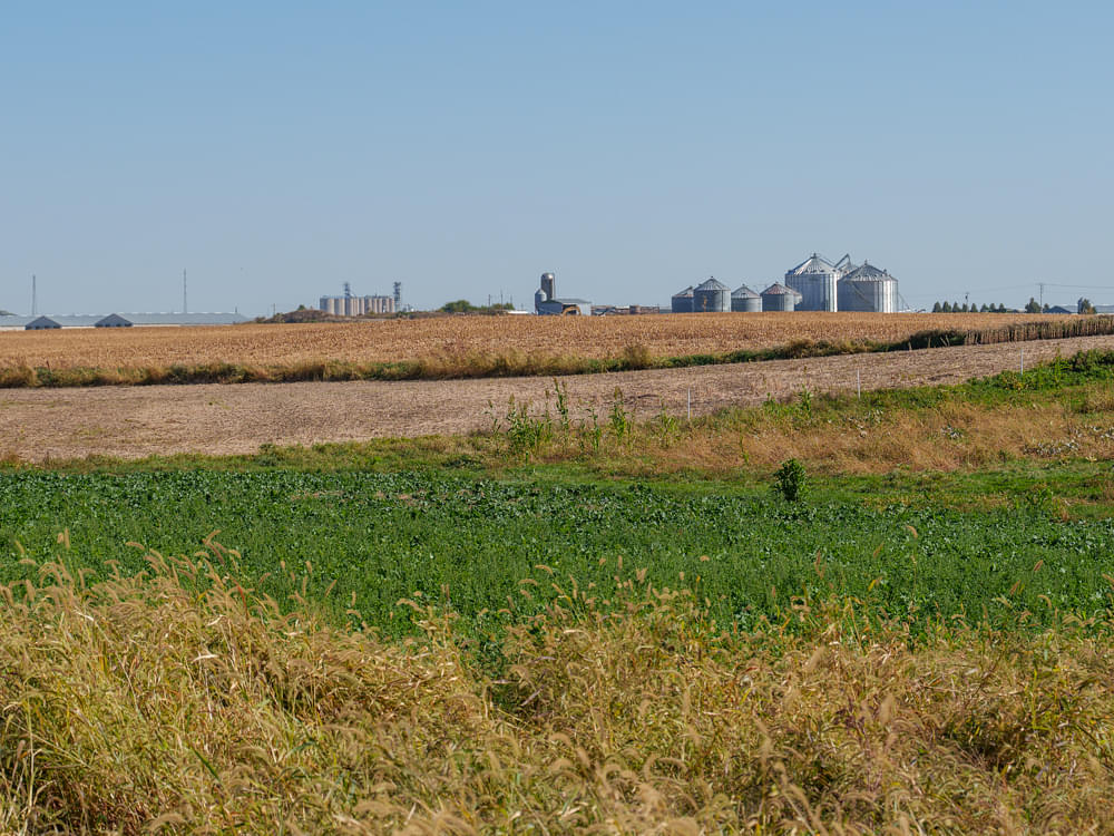 Red Clover Farms pumpkin patch - Alden, IA